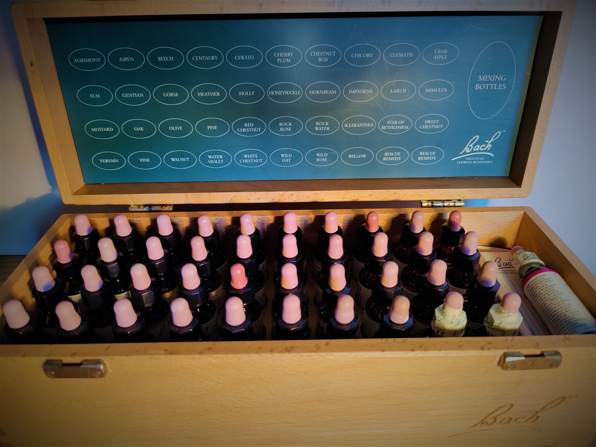 Bach bloesem remedies flesjes voor natuurlijke emotionele ondersteuning en innerlijke balans